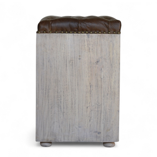 Back view of Mid-Century Modern Buffalo Hide Shoe Cabinet with Storage